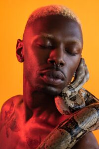 The Serpent In The &nbsp;Garden by Meaux