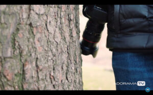 Become Better Photographer: Lens Hoods with David Bergman