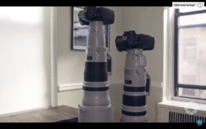 Become Better Photographer: Long Lens Tips with David Bergman