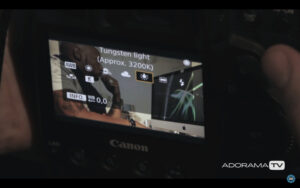 Become Better Photographer: Color Gels with David Bergman