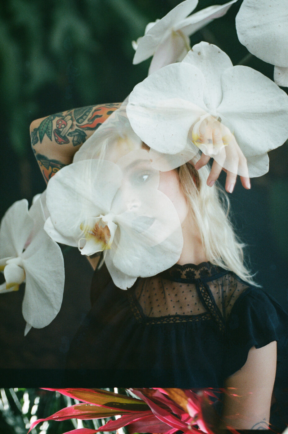 Creative Photography by Lys Bleu Designs
