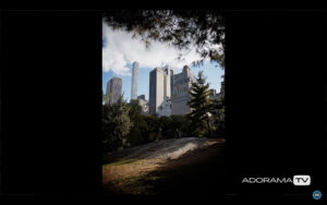 Become Better Photographer: Fill the Frame  with David Bergman
