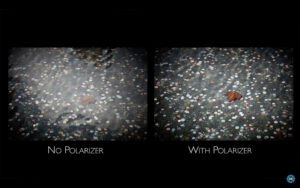 Become Better Photographer: Polarizers with David Bergman
