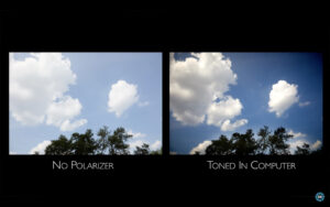 Become Better Photographer: Polarizers with David Bergman