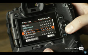 Become Better Photographer: RAW Picture Styles with David Bergman
