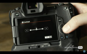 Become Better Photographer: RAW Picture Styles with David Bergman