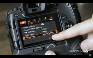 Become Better Photographer: RAW Picture Styles with David Bergman