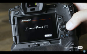 Become Better Photographer: RAW Picture Styles with David Bergman