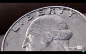Become Better Photographer: Extension Tubes with David Bergman