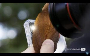 Become Better Photographer: Extension Tubes with David Bergman