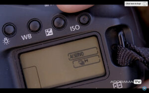 Become Better Photographer: Auto Focus Modes with David Bergman