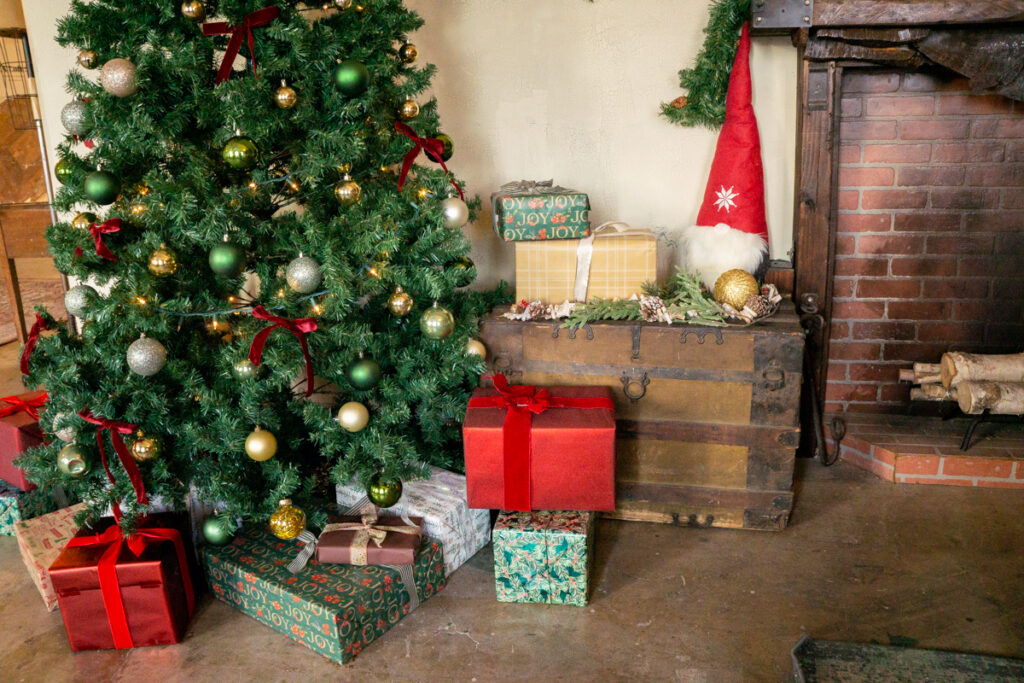 093025_Photo Studio with Christmas tree in Los Angeles_Loft 35