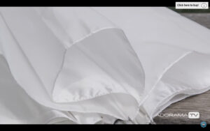 BBP: Shoot Through and Reflective Umbrellas with David Bergman