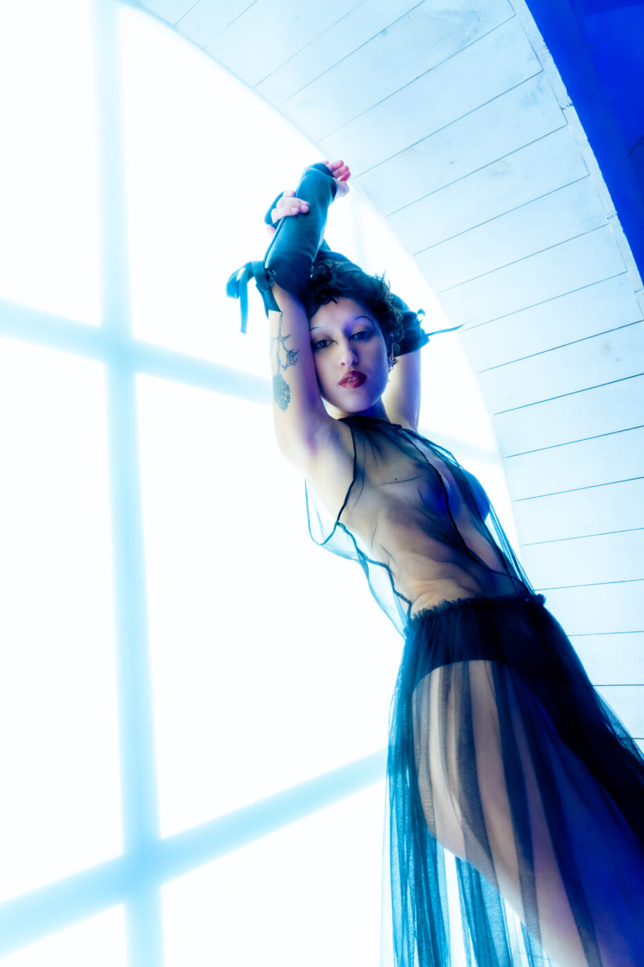 Kitty by Evelyn Sanchez