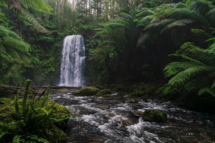landscape photography