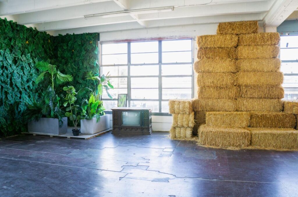 Jungle wall photo studio for rent in Los Angeles
