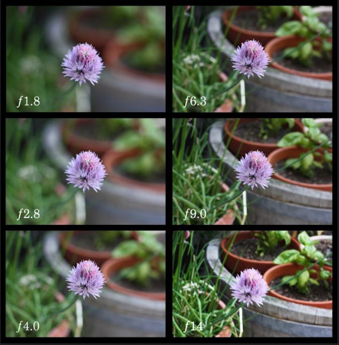 Aperture