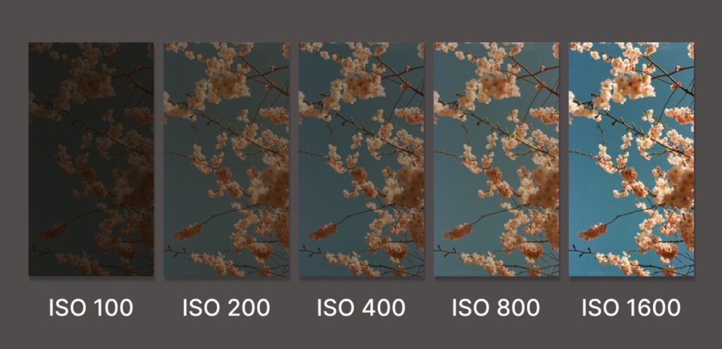 ISO in photography
