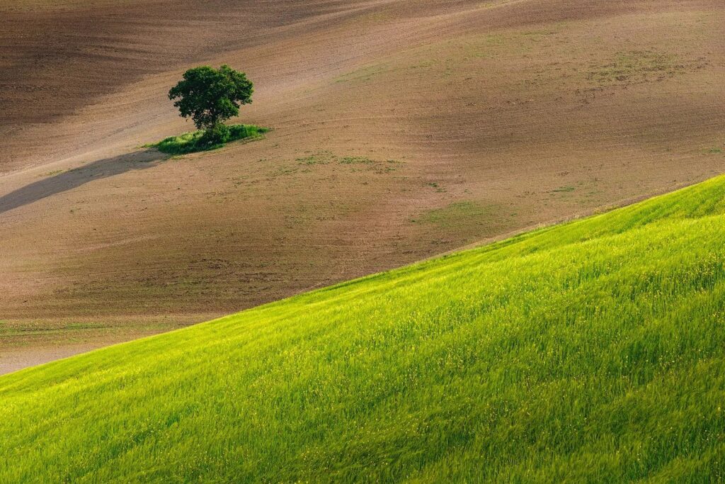 negative-space-tuscany01